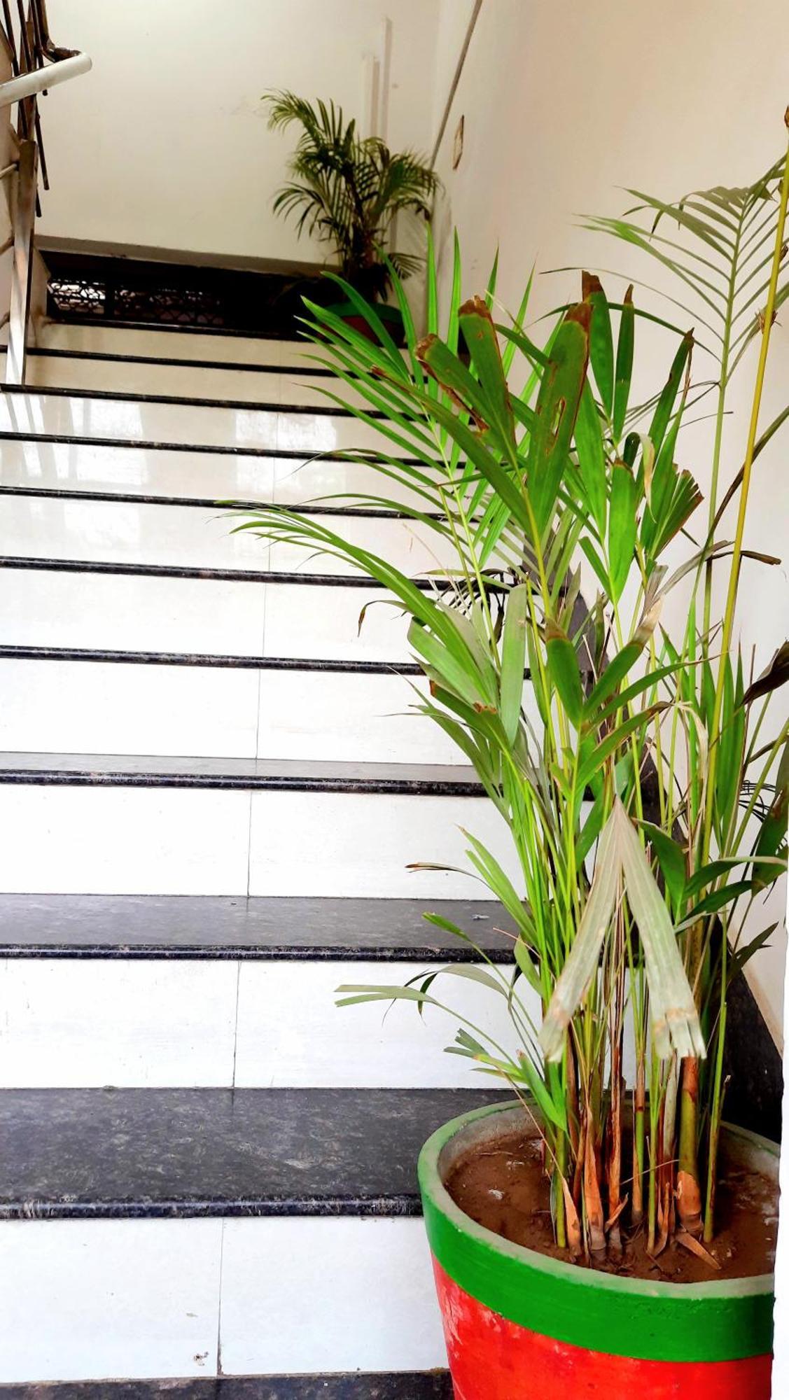 Hotel Season Ahmedabad Luaran gambar
