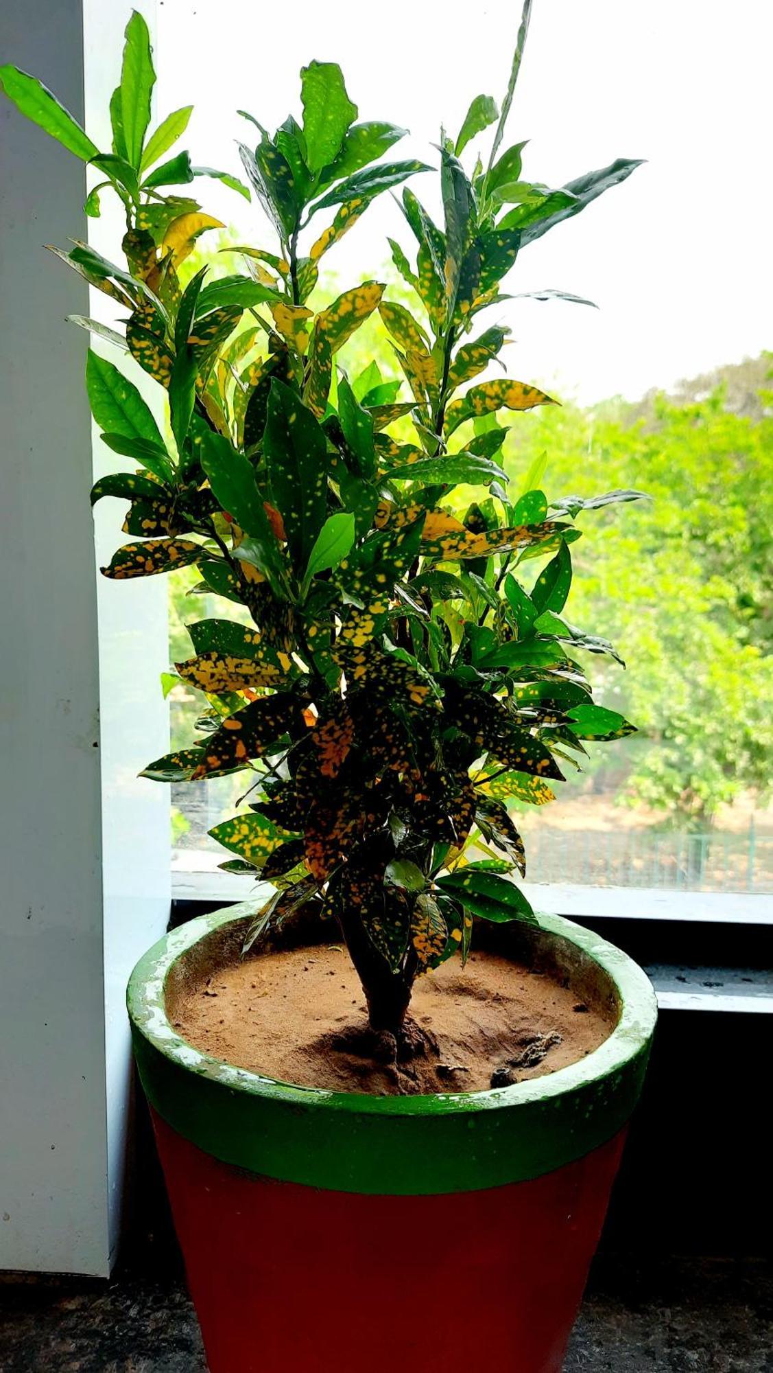 Hotel Season Ahmedabad Luaran gambar